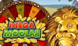 Mega Ball